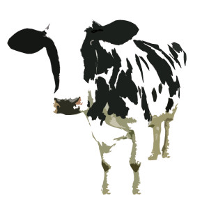 Cow