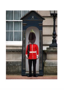 Aubergine Guard