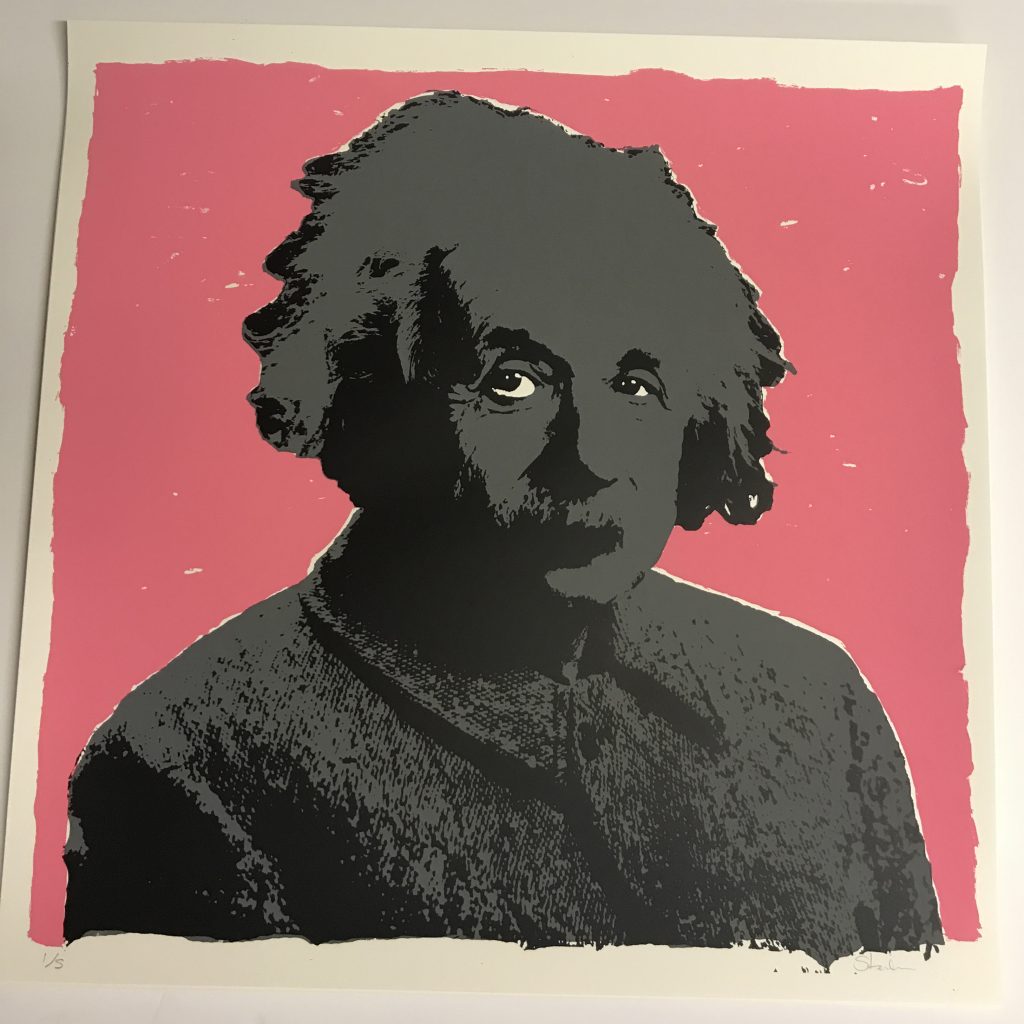 Einstein screenprint Stender