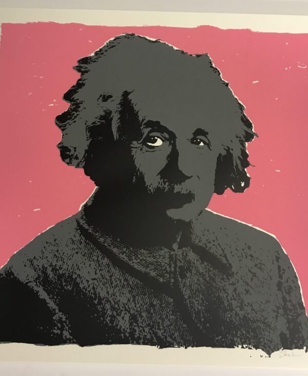 Einstein screenprint Stender